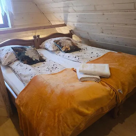 Hawok Проживание в семье